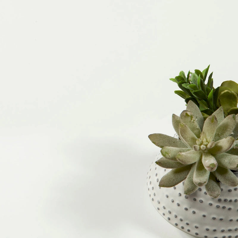 Commode à 5 tiroirs Porch &amp; Den Madrid